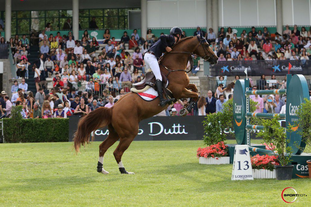 Romanov - KWPN Cavallo da Sport Neerlandese 1998 ,  HEARTBREAKER