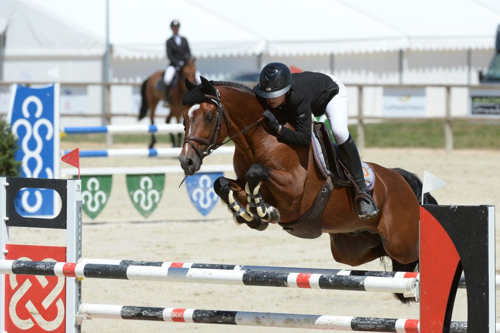 Ugo des Clas - PFS Pony Francese da Sella 2008 ,  MACHNO CARWYN