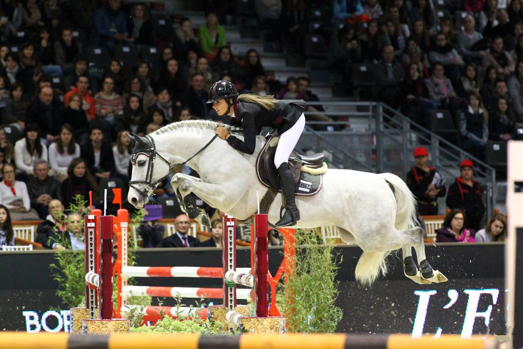 Uhélem de Seille - PFS Pony Francese da Sella 2008