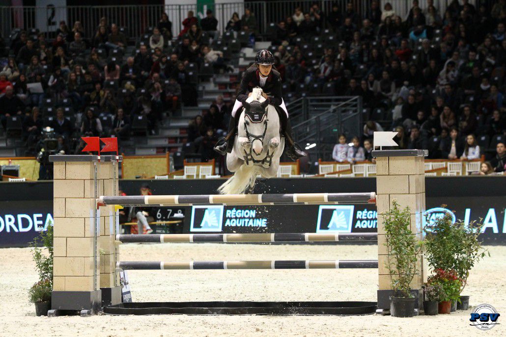 Uhélem de Seille - PFS Pony Francese da Sella 2008