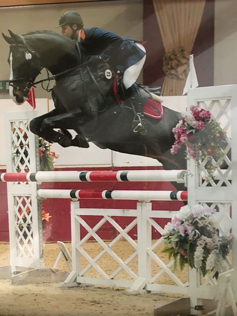 Zodjan J - KWPN Cavallo da Sport Neerlandese 2004 ,  NEGRO