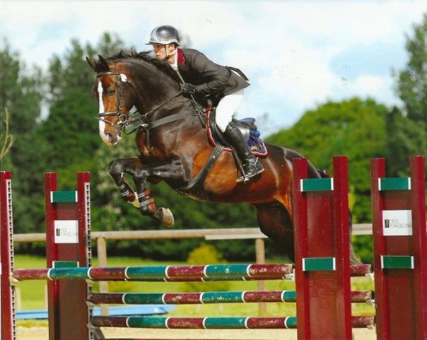 Zodjan J - KWPN Cavallo da Sport Neerlandese 2004 ,  NEGRO