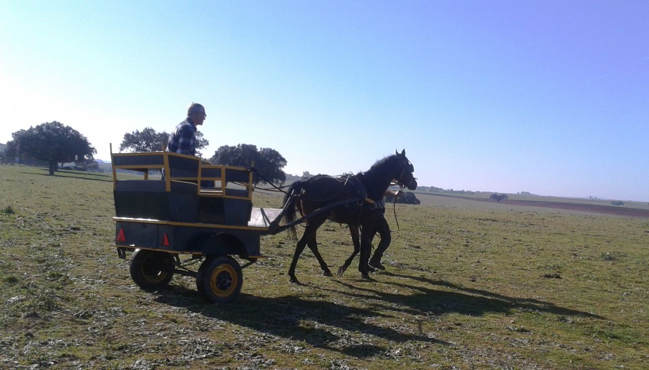 NIGAS DE NAUTIAC - Arabo 2007 ,  NUREK DE NAUTIAC