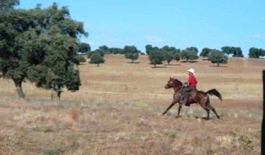 NIGAS DE NAUTIAC - Arabo 2007 ,  NUREK DE NAUTIAC