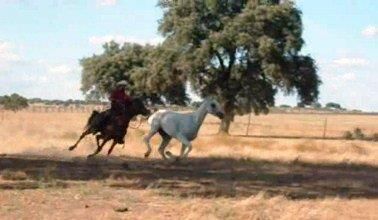 NIGAS DE NAUTIAC - Arabo 2007 ,  NUREK DE NAUTIAC