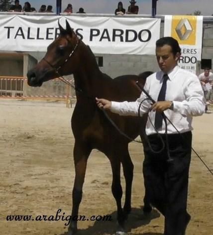 NIGAS DE NAUTIAC - Arabo 2007 ,  NUREK DE NAUTIAC