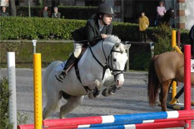 IVOIRE DE CIVRY - New Forest 1996 ,  PERAC DES ETANGS