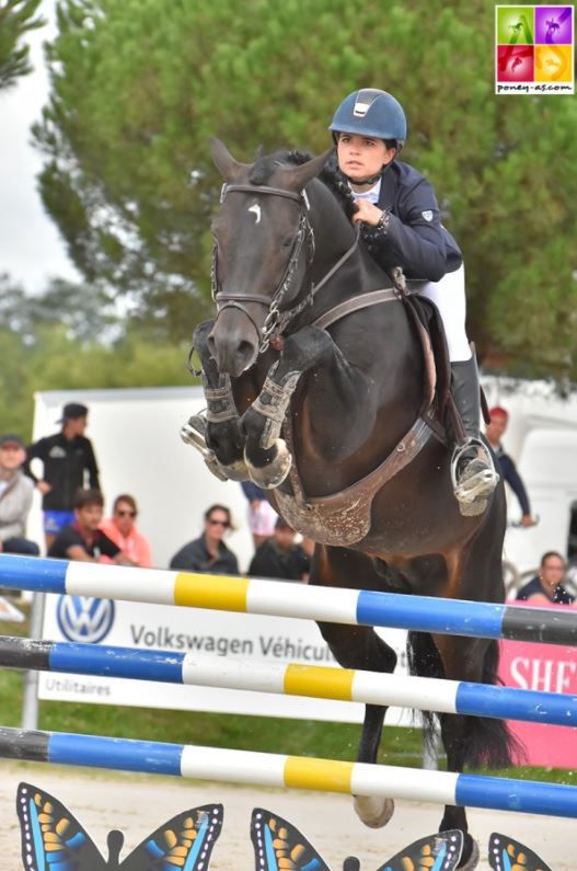 LOVELYHILL MAGICAL HEIGHT - New Forest 2010 ,  APPLEWITCH PURE MAGIC