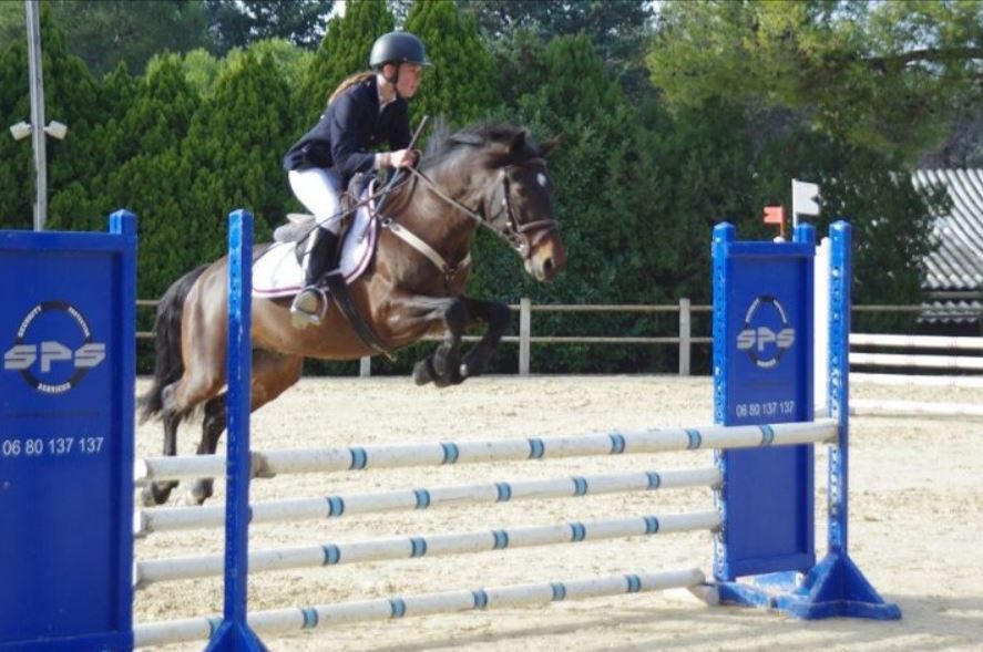 QUOKTAIL PEARL - New Forest 2004 ,  WILLOWWAY PIPER'S BAY (GBR)