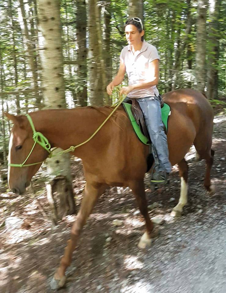 Cavalla Akhal Teke In vendita 2017 Sauro ,  Raymar, AT