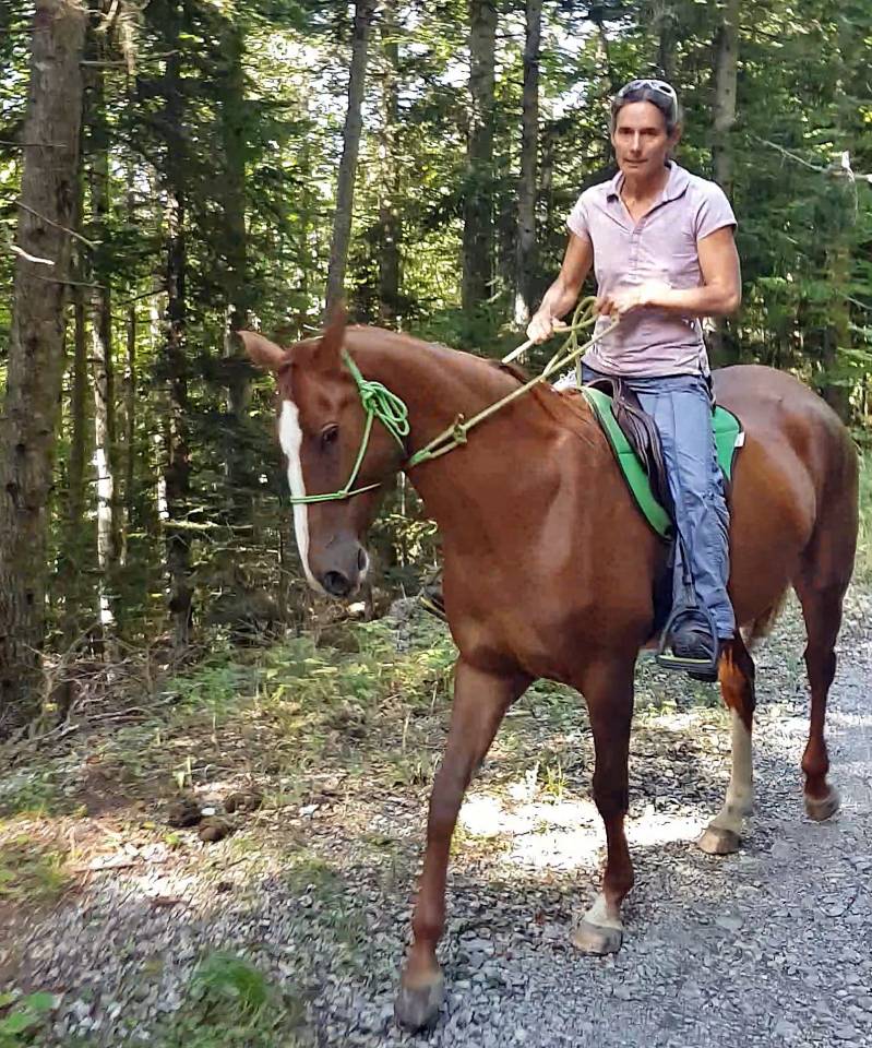 Cavalla Akhal Teke In vendita 2017 Sauro ,  Raymar, AT