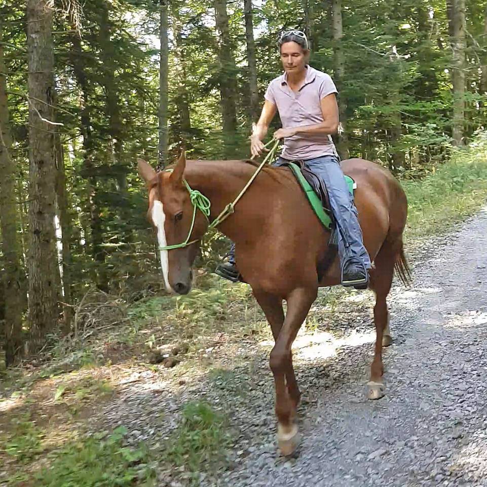 Cavalla Akhal Teke In vendita 2017 Sauro ,  Raymar, AT