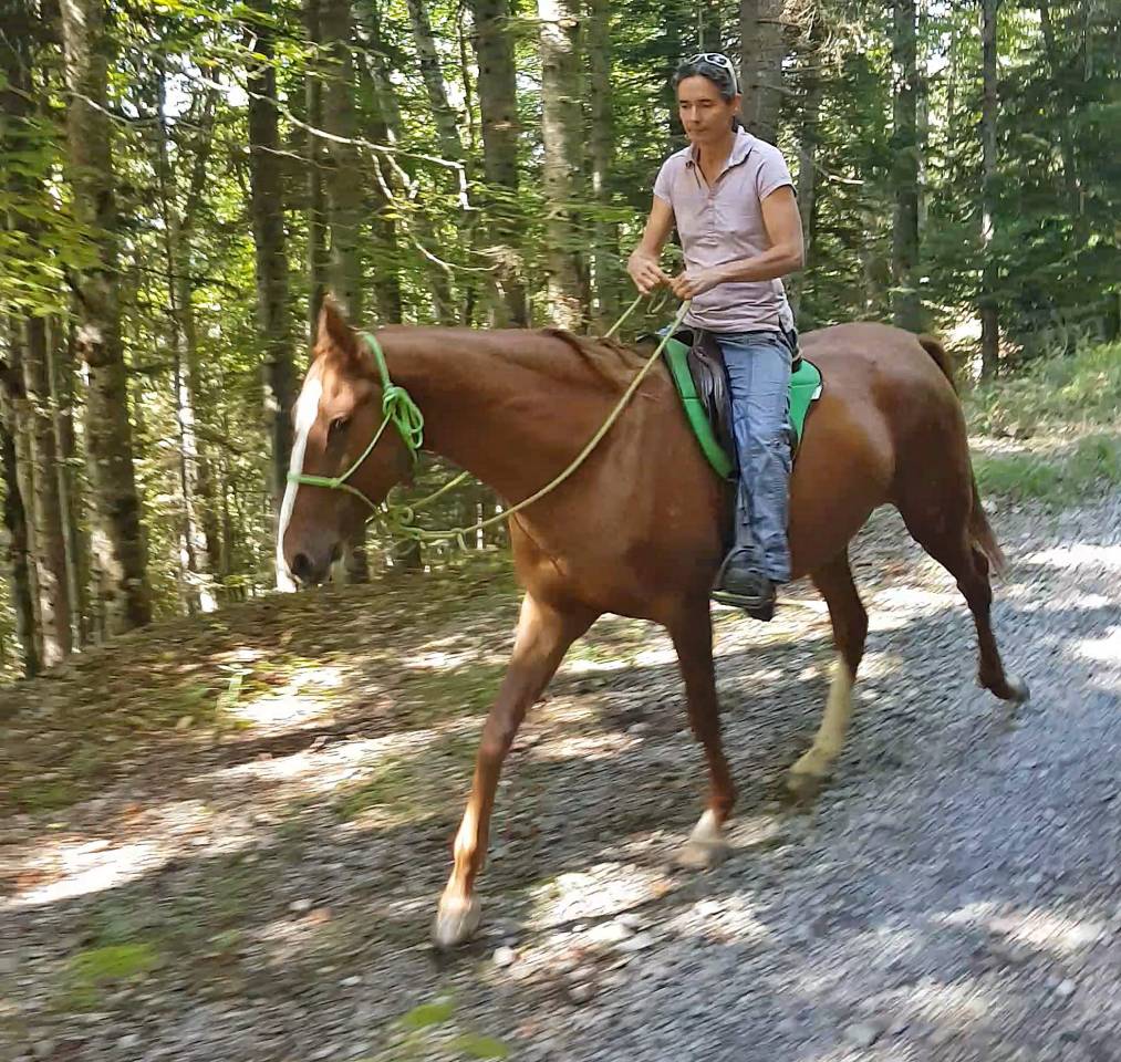 Cavalla Akhal Teke In vendita 2017 Sauro ,  Raymar, AT