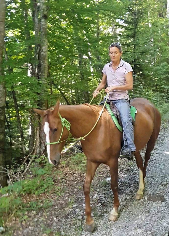 Cavalla Akhal Teke In vendita 2017 Sauro ,  Raymar, AT