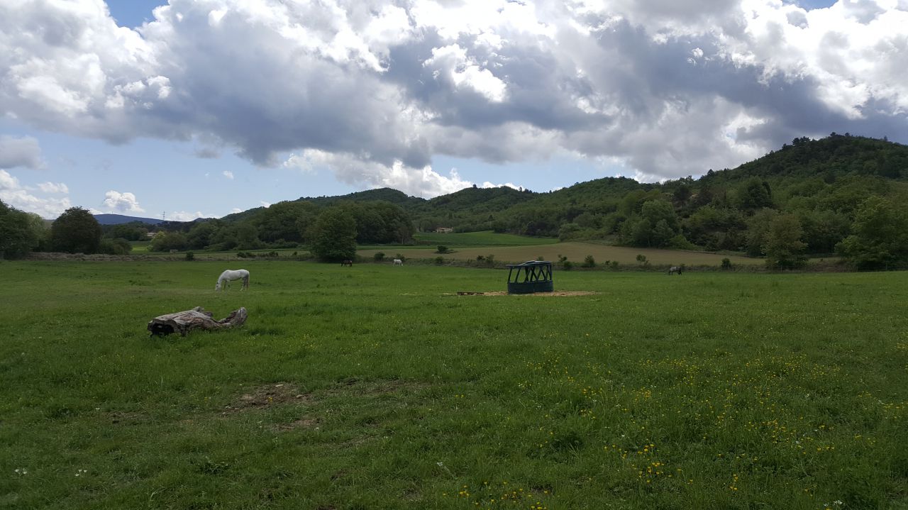 Alloggio Alpes-de-Haute-Provence