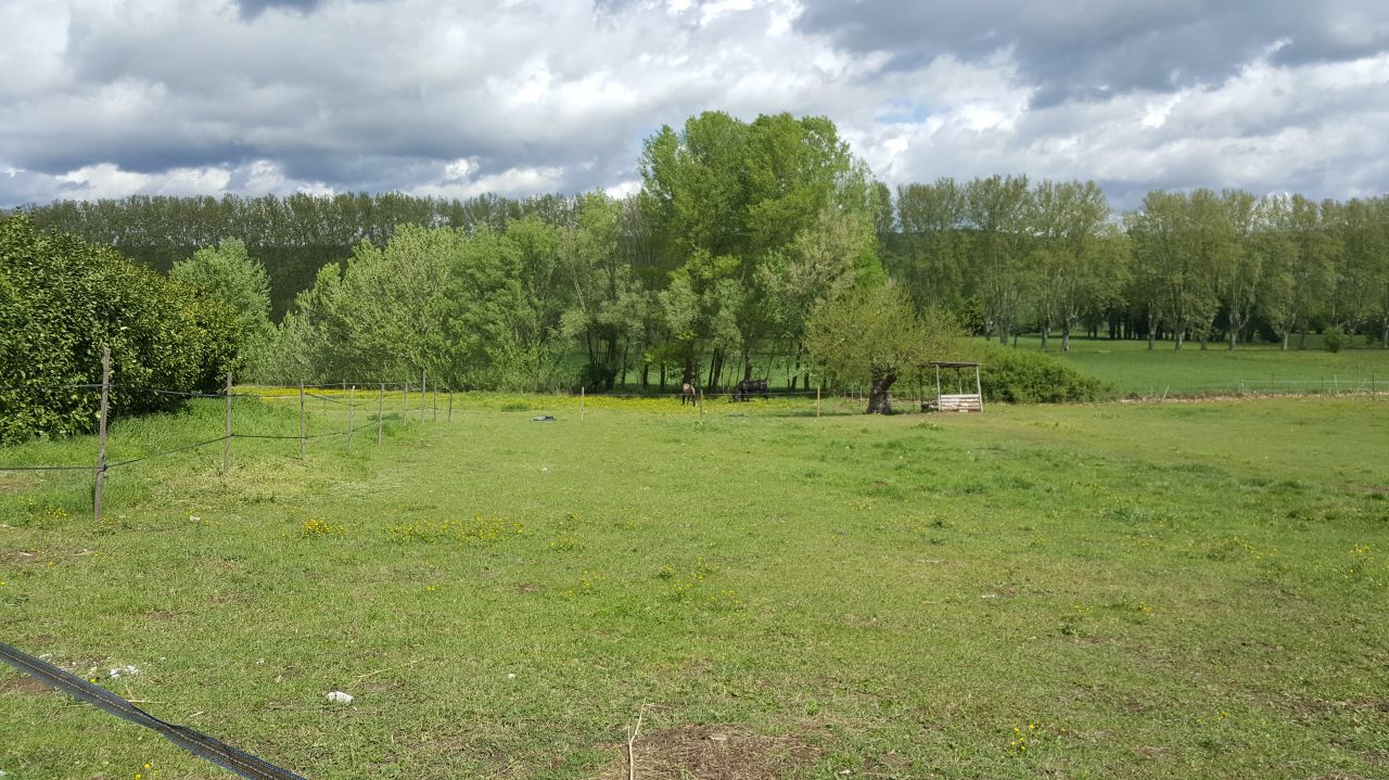 Alloggio Alpes-de-Haute-Provence