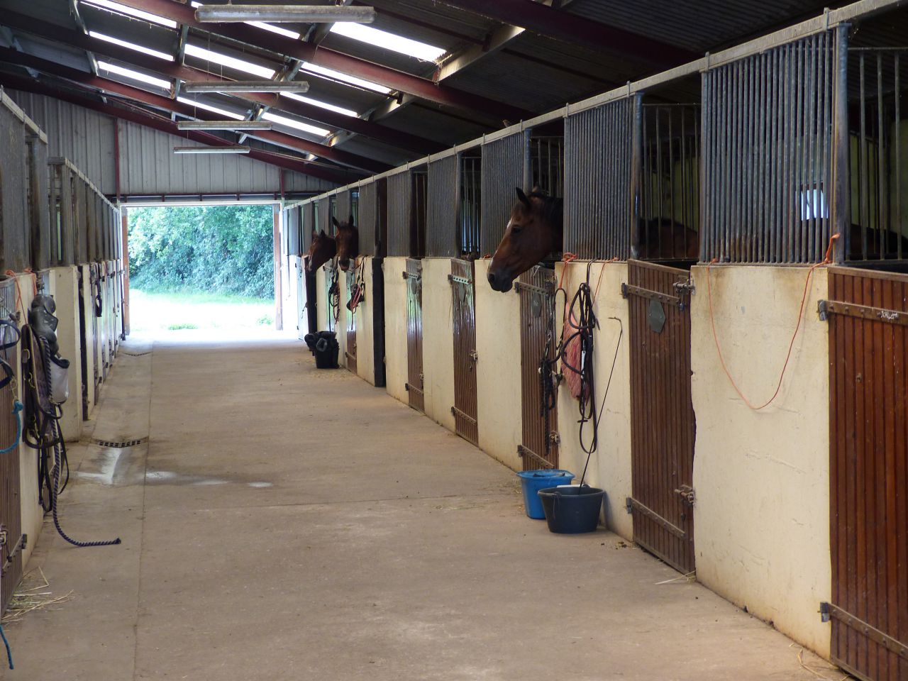 Proprietà equestre In vendita Calvados