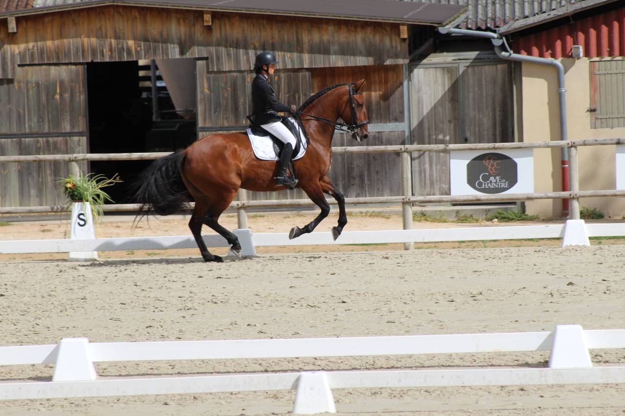 Allievo istruttore - Apprendista Tempo pieno - Rhône Francia