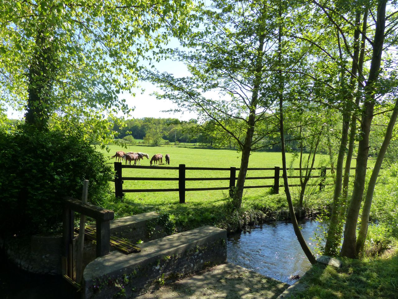 Scuderia per proprietari In vendita Eure