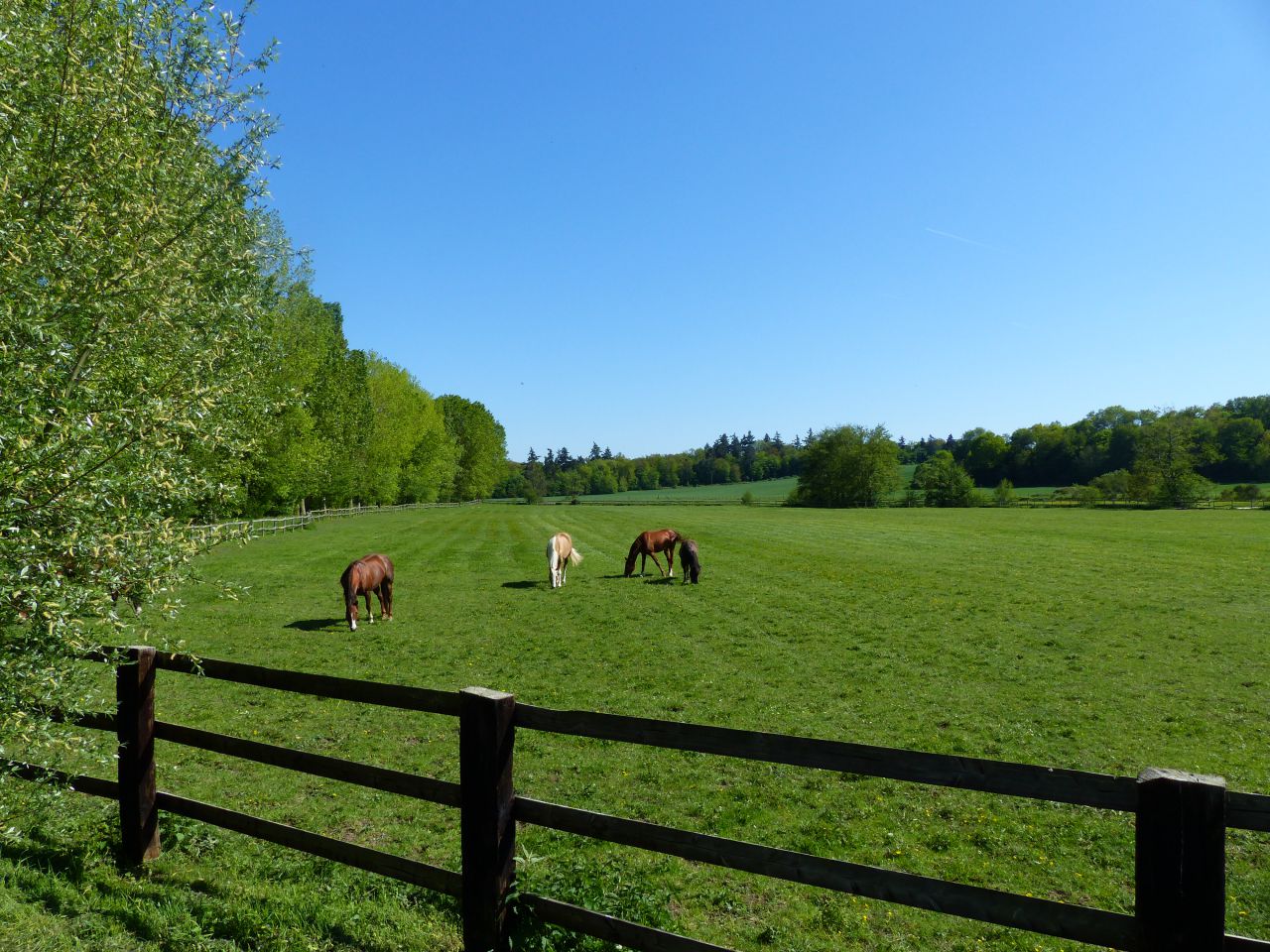 Scuderia per proprietari In vendita Eure