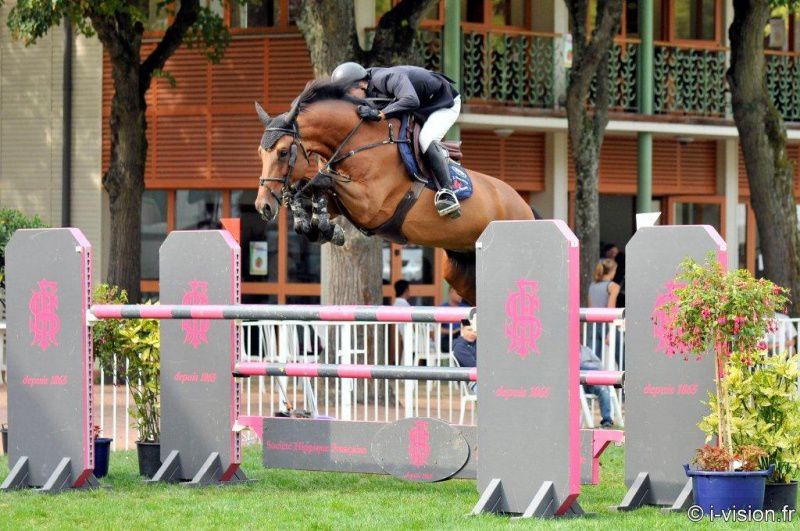 Contact van de Heffinck - Holsteiner 2001