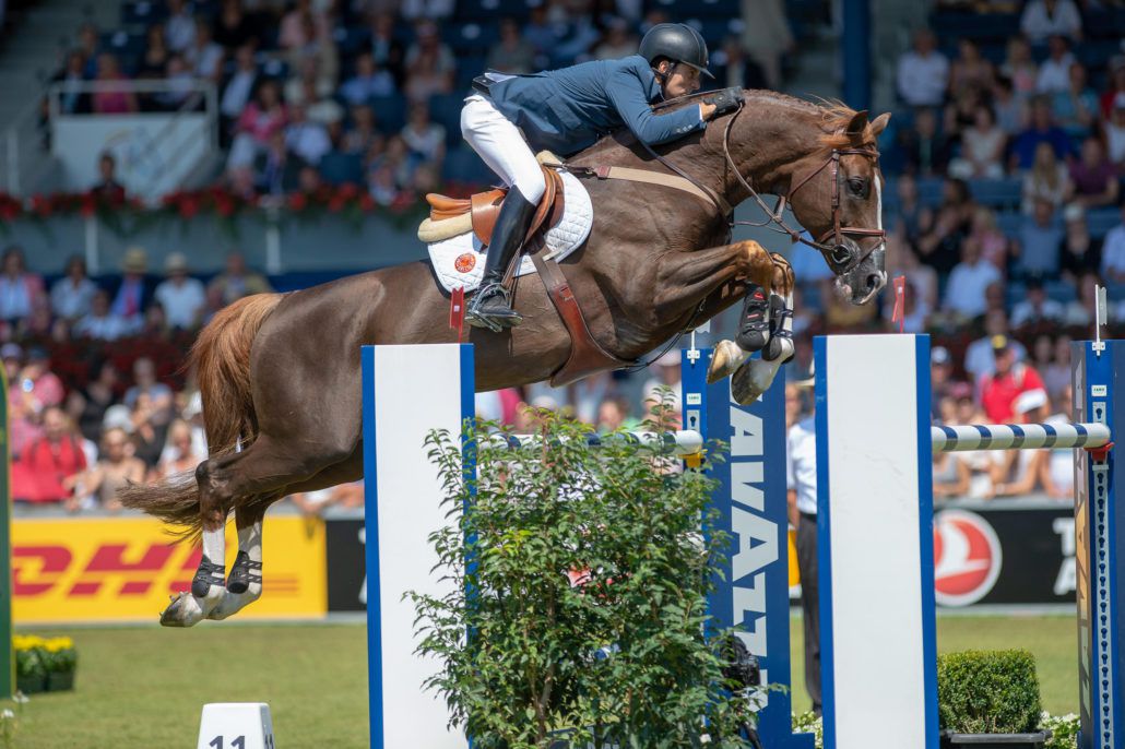 Quabri de l'Isle - Sella Francese 2004