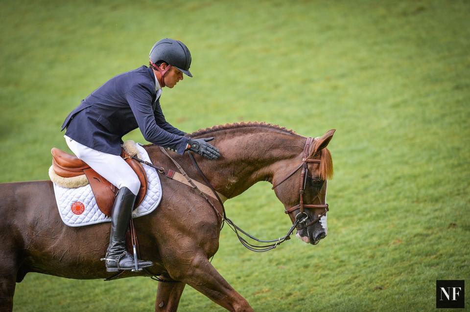 Quabri de l'Isle - Sella Francese 2004