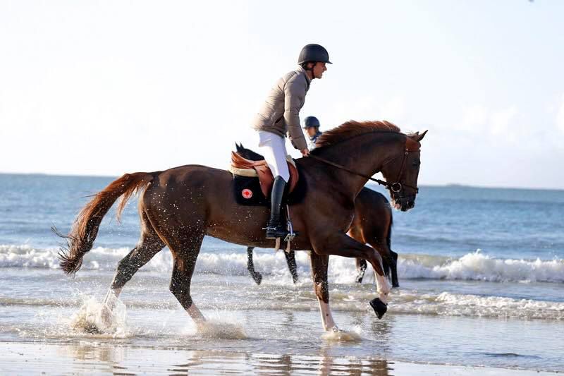 Quabri de l'Isle - Sella Francese 2004