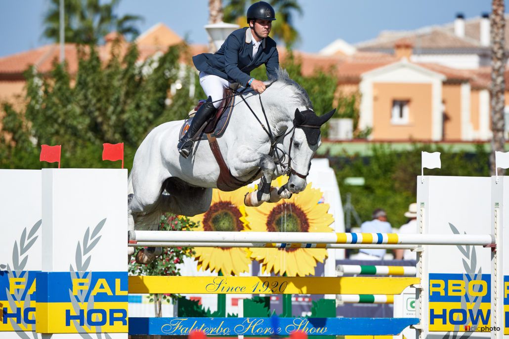 Vingino - KWPN Cavallo da Sport Neerlandese 2002