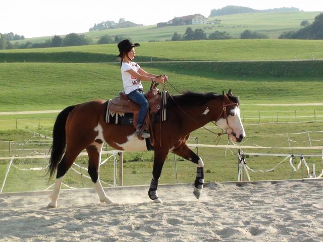 Wash Bar Leo - Paint Horse 2005 ,  WASH MY SPECTICKLES