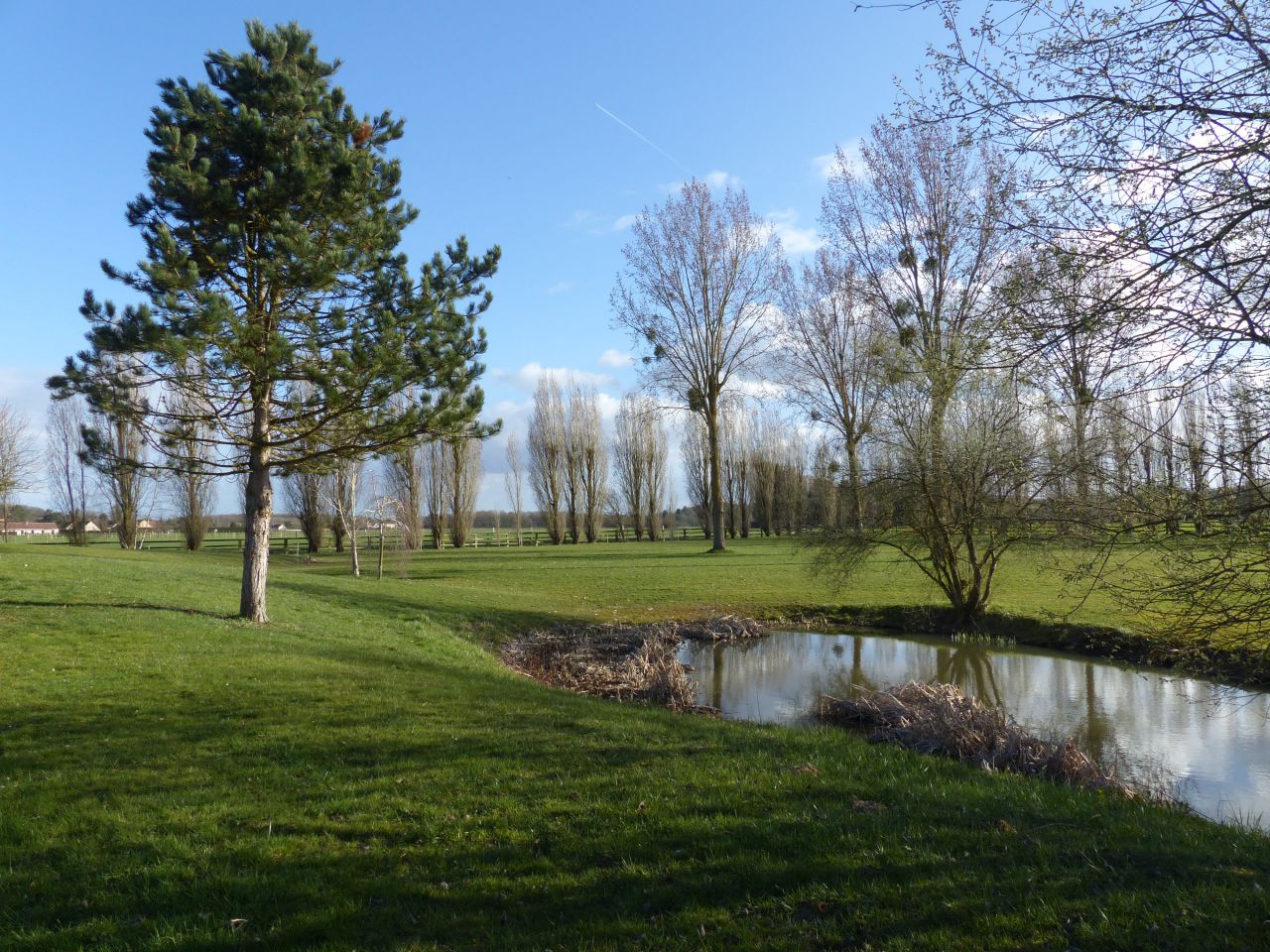 Scuderia per proprietari In vendita Yvelines