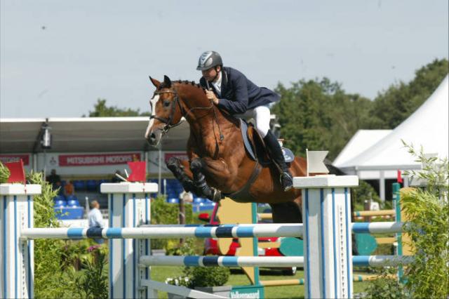 Lando - Cavallo da Sport Danese 1988 ,  LANCIER