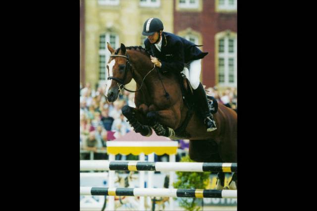 Lando - Cavallo da Sport Danese 1988 ,  LANCIER