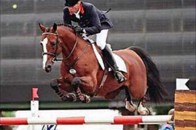 Lando - Cavallo da Sport Danese 1988 ,  LANCIER