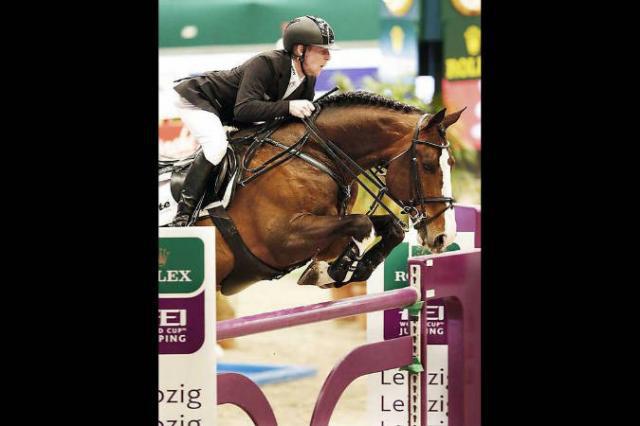 Plot Blue - KWPN Cavallo da Sport Neerlandese 1997 ,  MR BLUE