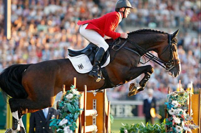 Plot Blue - KWPN Cavallo da Sport Neerlandese 1997 ,  MR BLUE