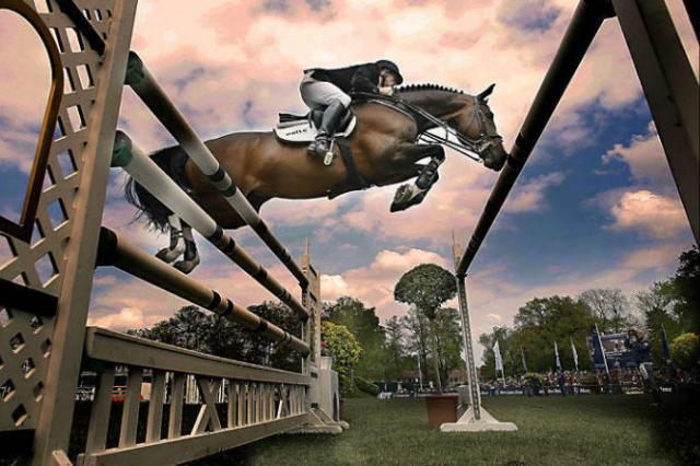 Plot Blue - KWPN Cavallo da Sport Neerlandese 1997 ,  MR BLUE