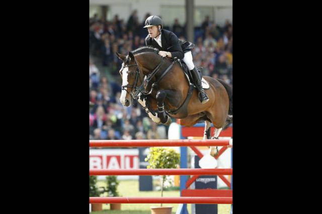 Plot Blue - KWPN Cavallo da Sport Neerlandese 1997 ,  MR BLUE