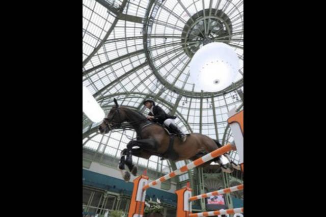 Plot Blue - KWPN Cavallo da Sport Neerlandese 1997 ,  MR BLUE