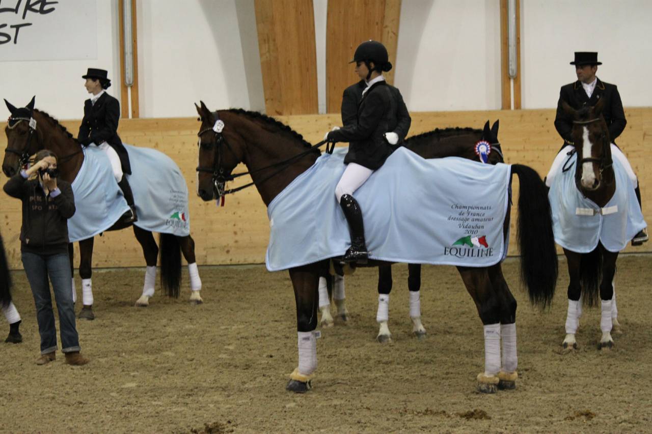 Don Quichot - BWP Cavallo da Sangue Belgio 2000 ,  QUITE EASY