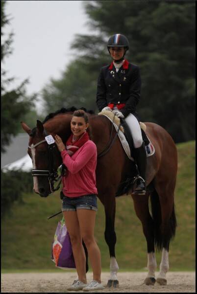 Don Quichot - BWP Cavallo da Sangue Belgio 2000 ,  QUITE EASY