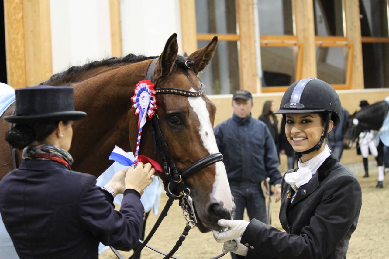 Don Quichot - BWP Cavallo da Sangue Belgio 2000 ,  QUITE EASY