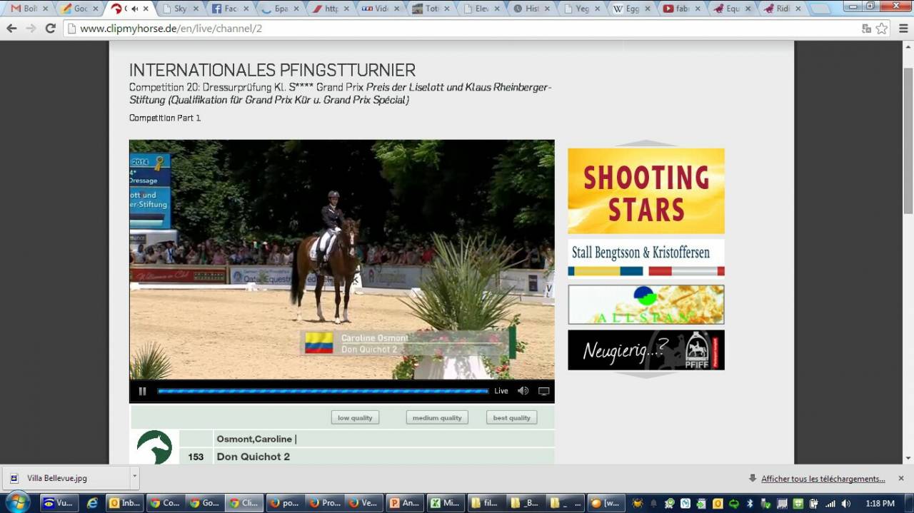 Don Quichot - BWP Cavallo da Sangue Belgio 2000 ,  QUITE EASY