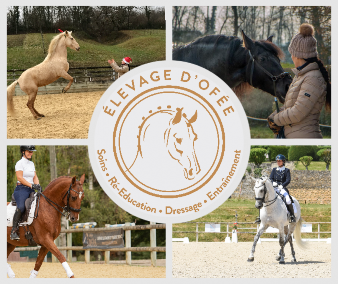 Elevage d 'Of&eacute;e 