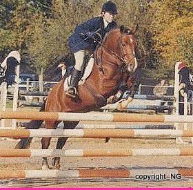 Willoway Montmain Gold Charm - New Forest 1994 ,  Woodrow Acting Master