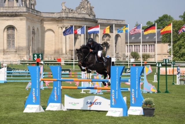 HEROE DE CAFENY - Sella Francese 2017 ,  DIAMANT DE SEMILLY