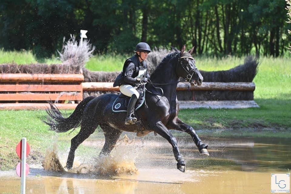 HEROE DE CAFENY - Sella Francese 2017 ,  DIAMANT DE SEMILLY