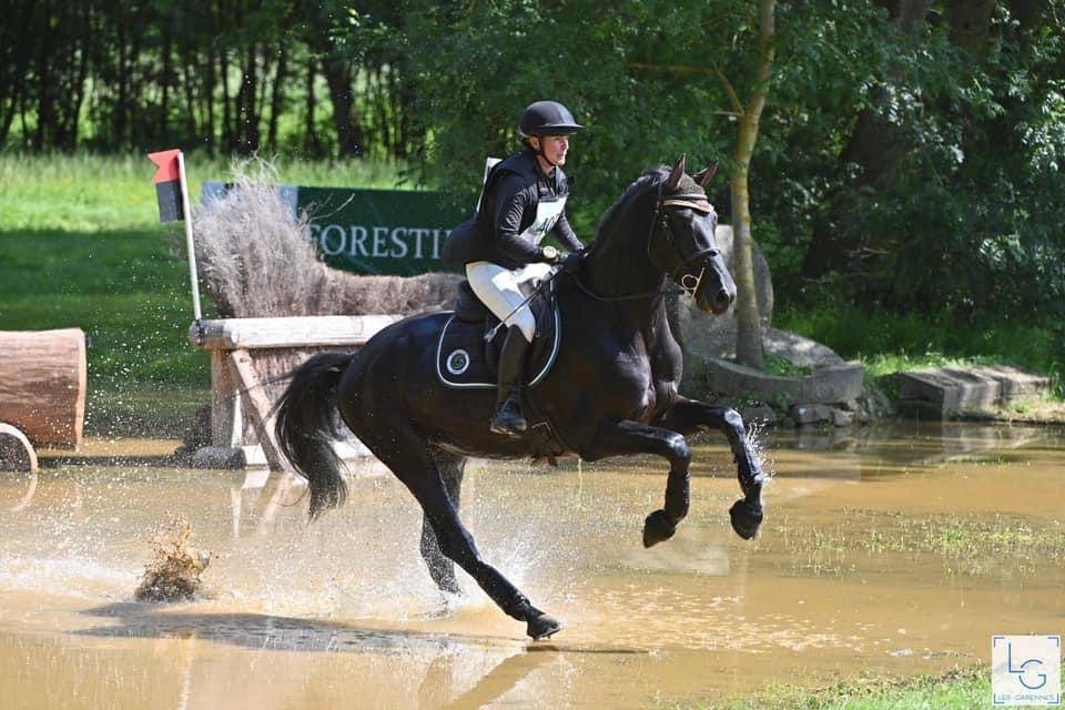 HEROE DE CAFENY - Sella Francese 2017 ,  DIAMANT DE SEMILLY
