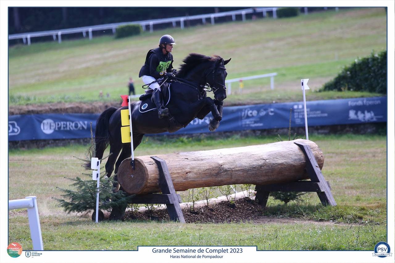 HEROE DE CAFENY - Sella Francese 2017 ,  DIAMANT DE SEMILLY