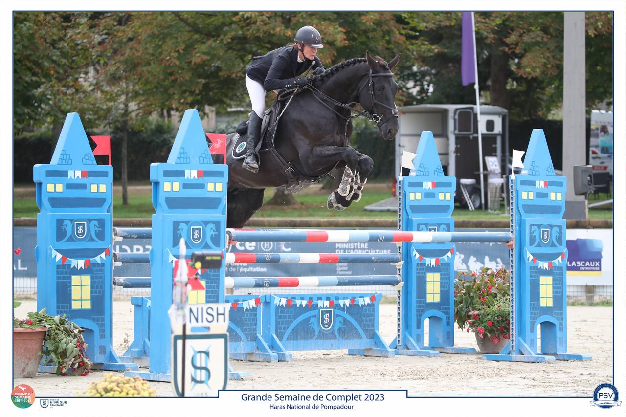 HEROE DE CAFENY - Sella Francese 2017 ,  DIAMANT DE SEMILLY